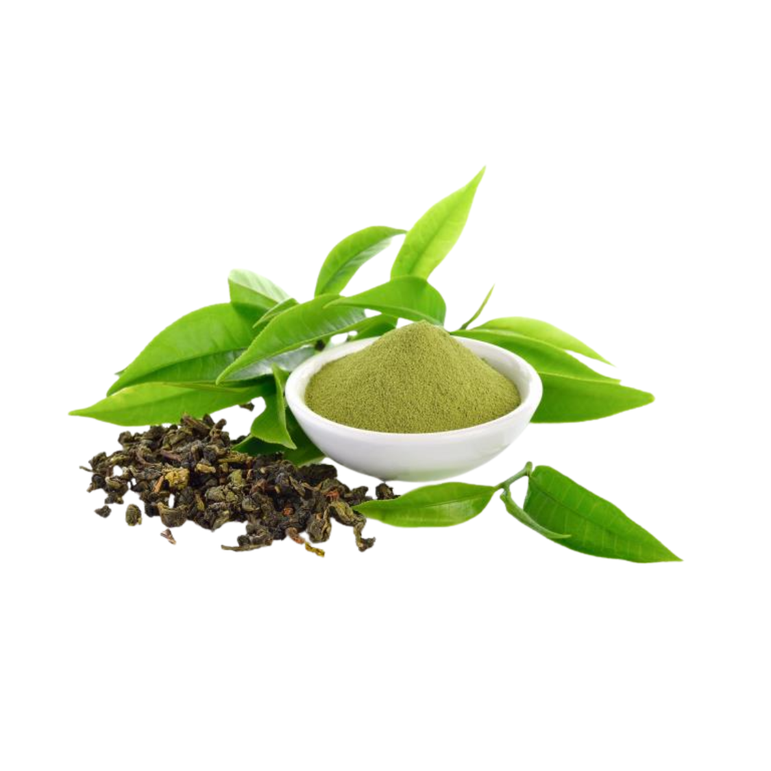 ग्रीन टी एक्सट्रैक्ट (Green Tea Extract)